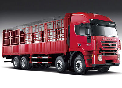 8×4 Euro III Cargo Truck
